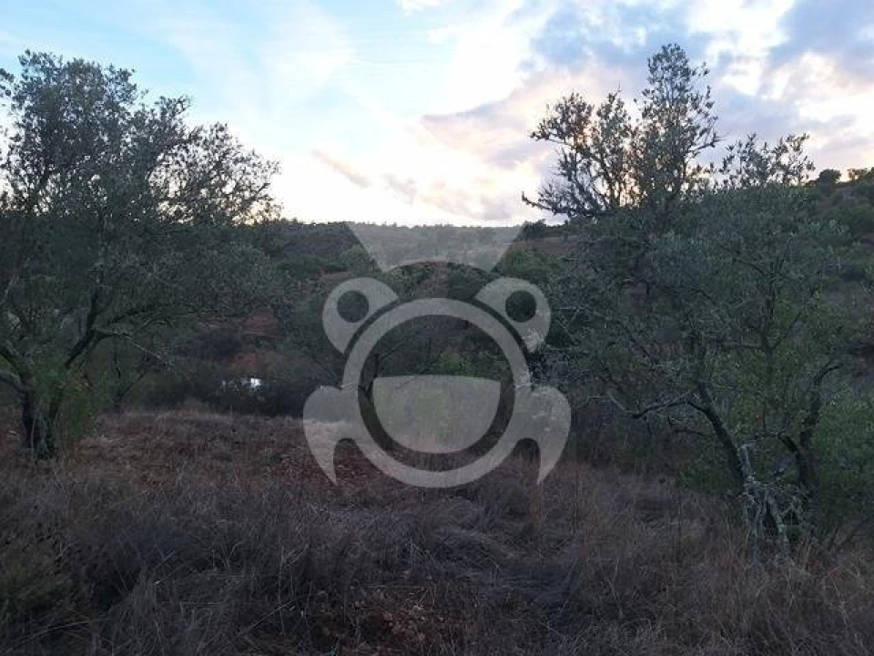 Quinta T2 para Venda em Amieira e Alqueva Foto 11