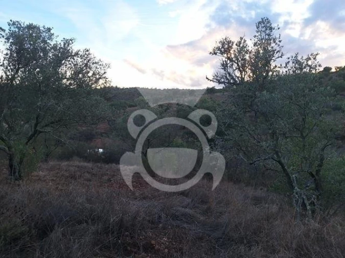 Quinta T2 para Venda em Amieira e Alqueva Foto 11