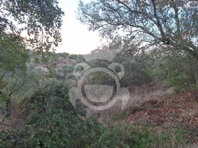 Quinta T2 para Venda em Amieira e Alqueva Foto 10