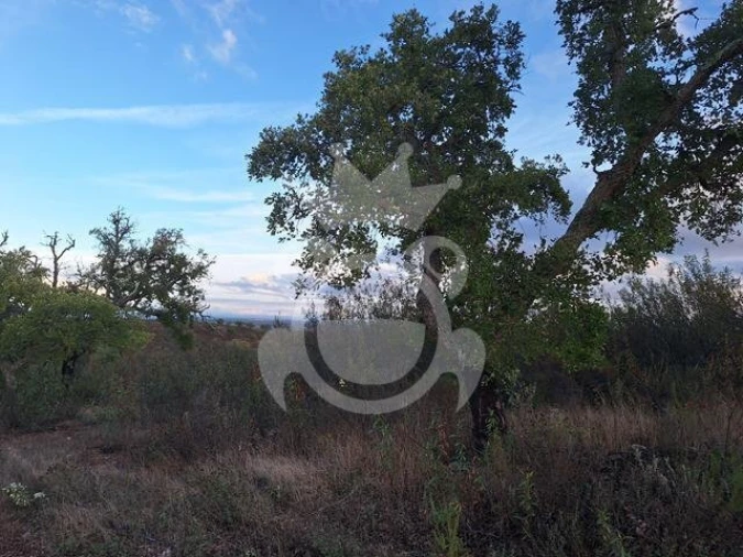 Quinta T2 para Venda em Amieira e Alqueva Foto 5