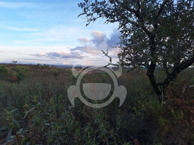 Quinta T2 para Venda em Amieira e Alqueva Foto 6