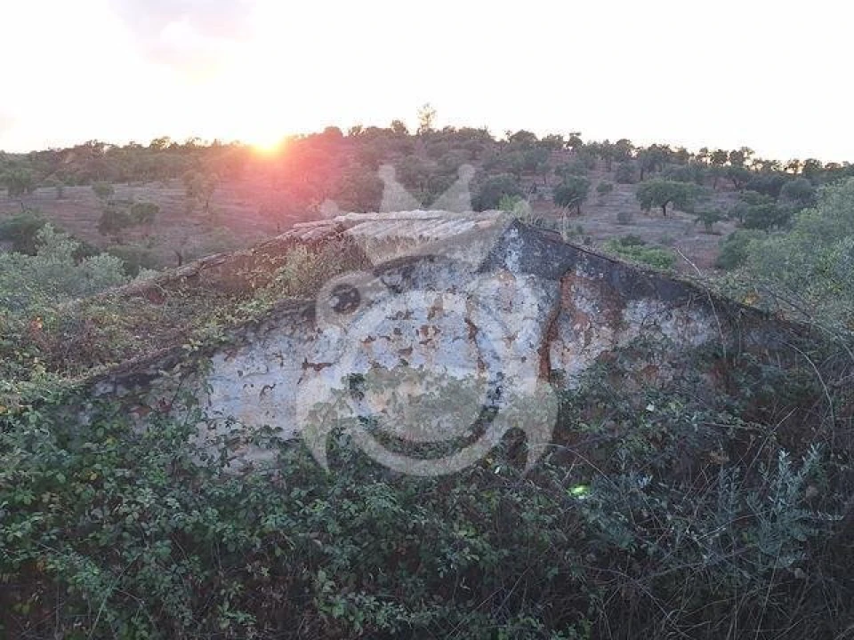 Quinta T2 para Venda em Amieira e Alqueva Foto 4