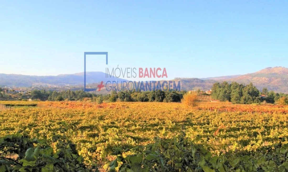 Quinta T10 para Venda em Barbeita Foto 16