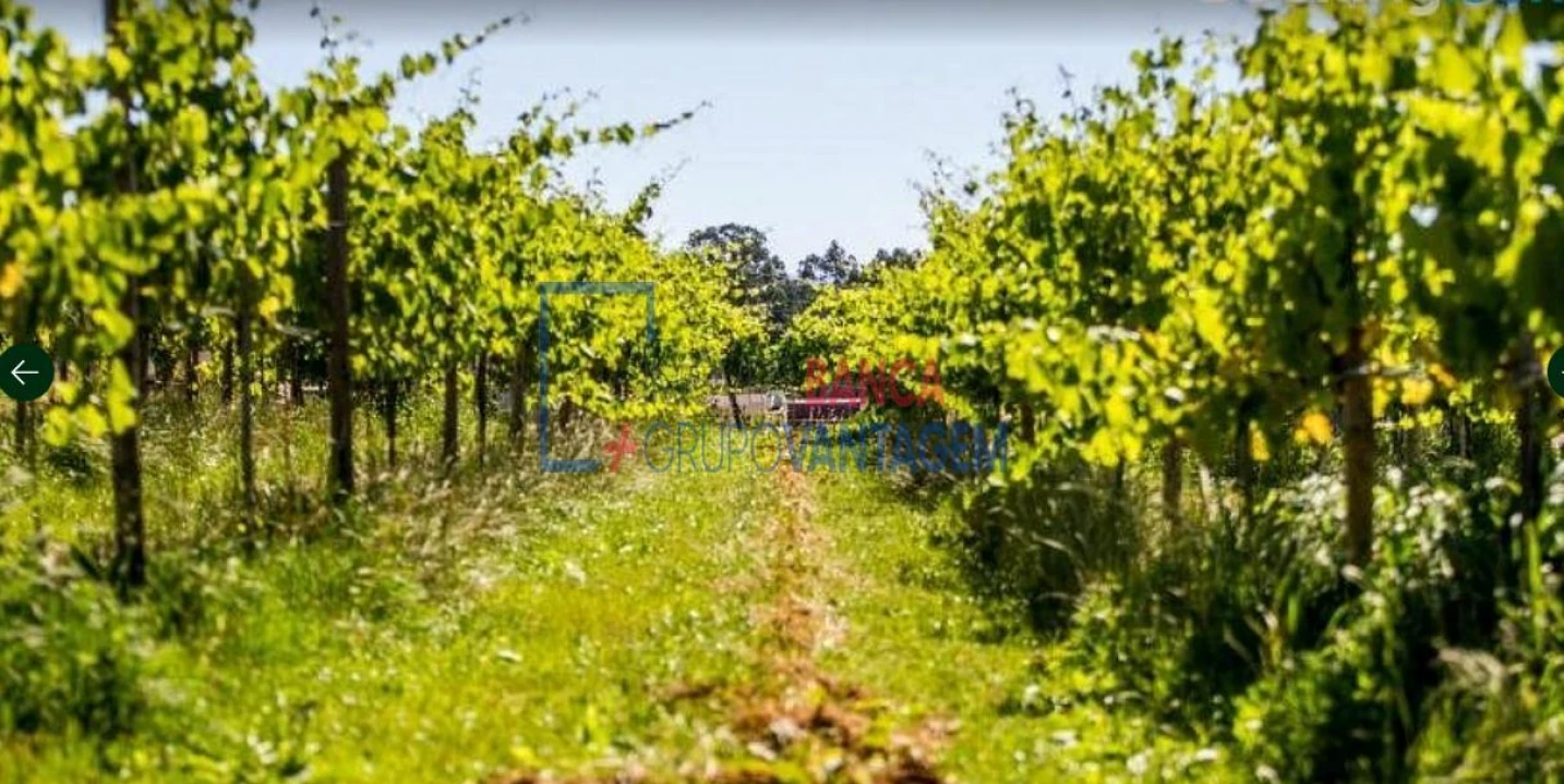 Quinta T10 para Venda em Barbeita Foto 17