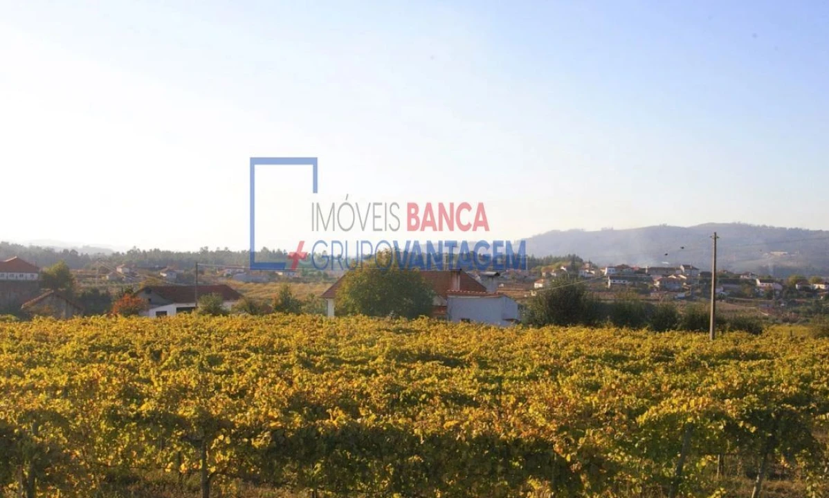 Quinta T10 para Venda em Barbeita Foto 19