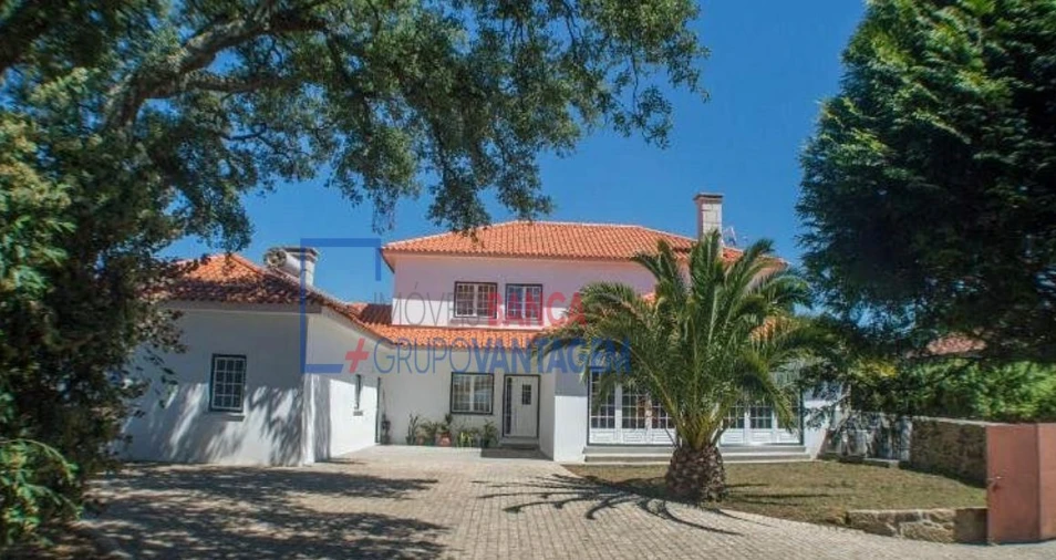 Quinta T10 para Venda em Barbeita Foto 2