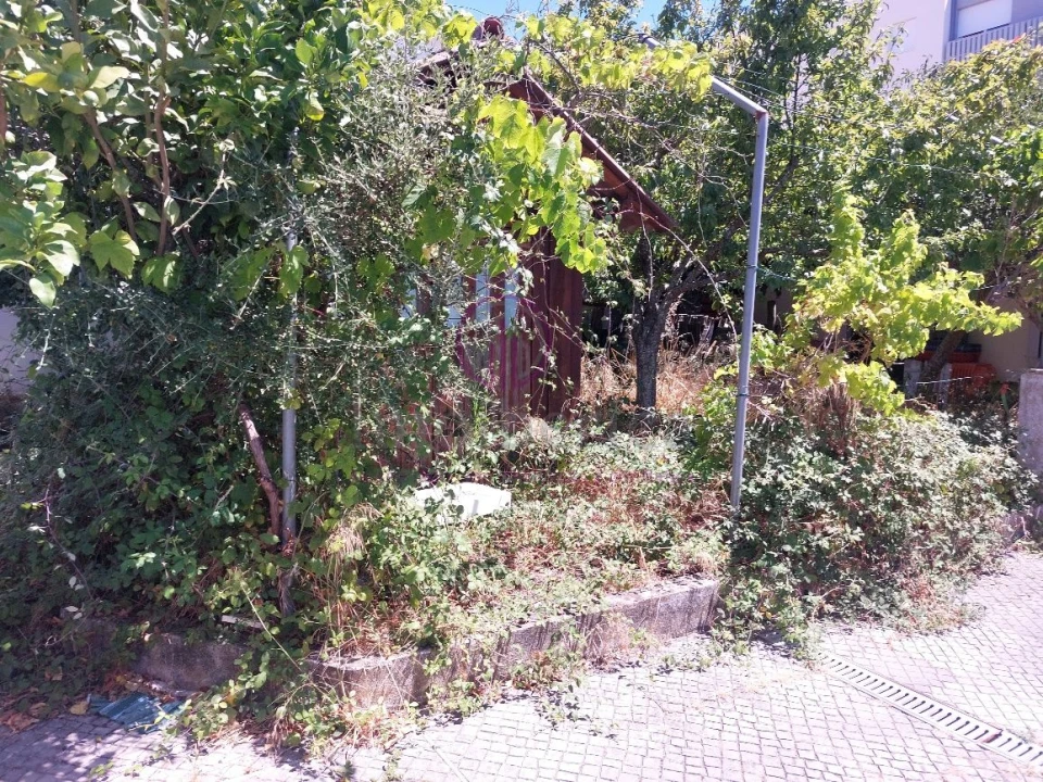 Loja para Venda em São Domingos de Rana Foto 19