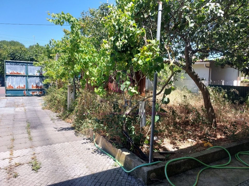 Loja para Venda em São Domingos de Rana Foto 24