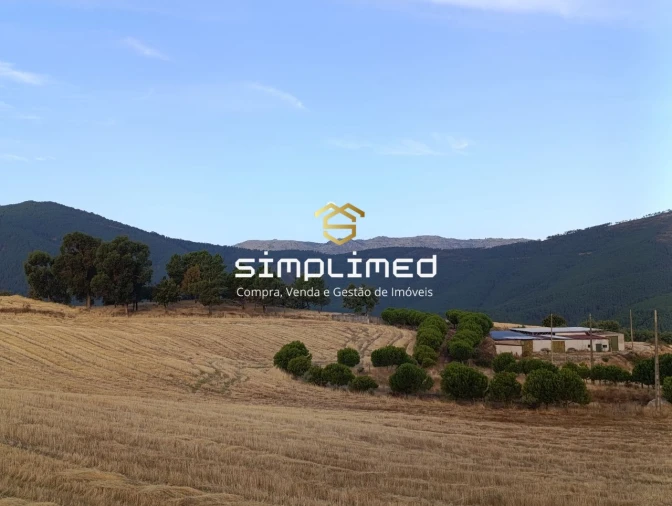 Quinta T0 para Venda em Orjais Foto 4