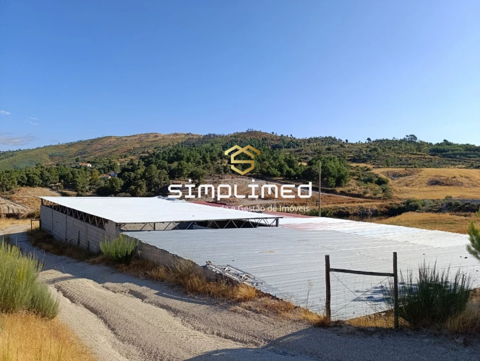 Quinta T0 para Venda em Orjais Foto 27