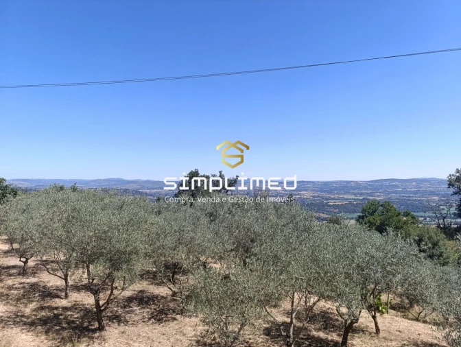 Quinta T2 para Venda em Orjais Foto 42