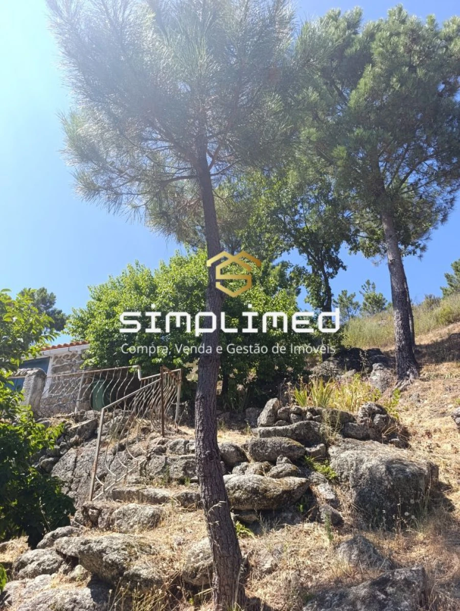 Quinta T2 para Venda em Orjais Foto 23