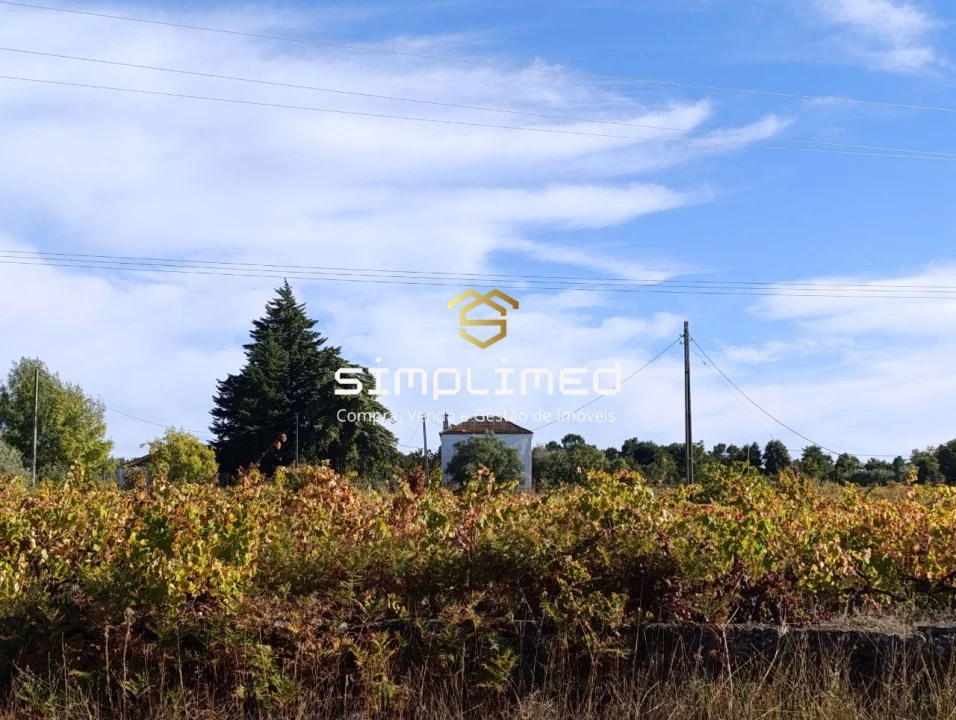 Quinta T1 para Venda em Belmonte e Colmeal da Torre Foto 38