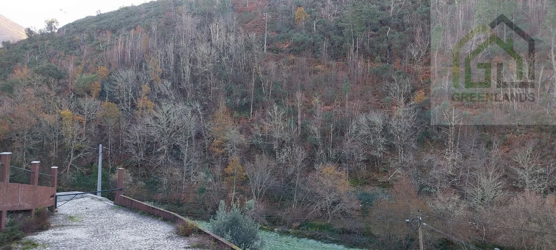 Moradia T3 para Venda em Cepos e Teixeira Foto 6