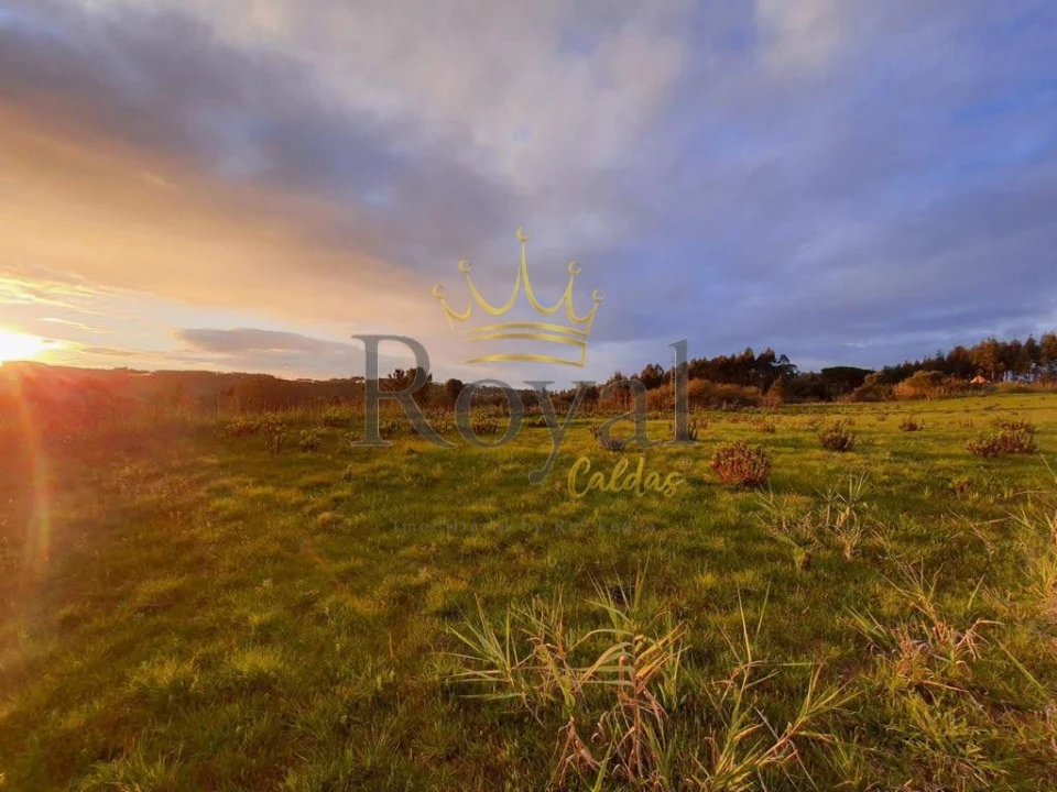 Moradia T3 para Venda em Salir de Matos Foto 6