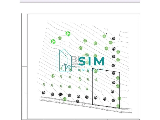 Terreno para Venda em Loule (São Clemente) Foto 8