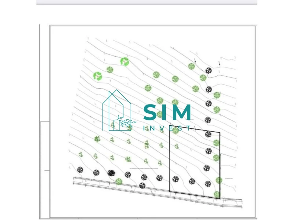 Terreno para Venda em Loule (São Clemente) Foto 9
