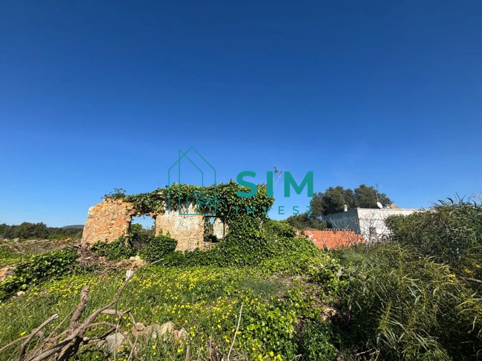 Terreno para Venda em Luz de Tavira e Santo Estêvão Foto 3