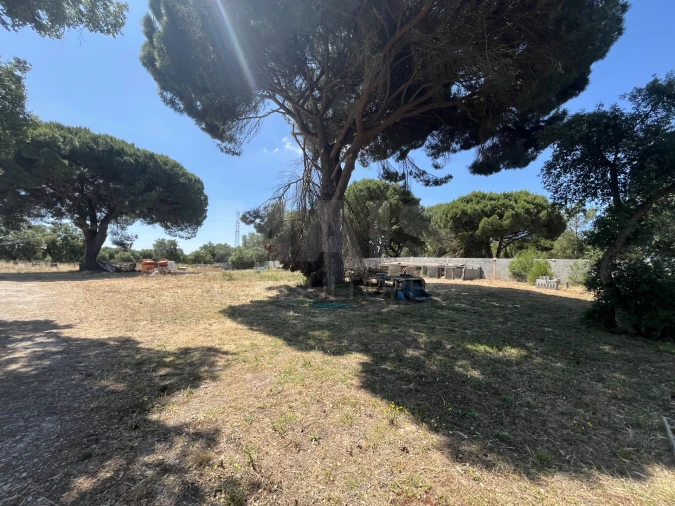 Terreno para Venda em Samora Correia Foto 6