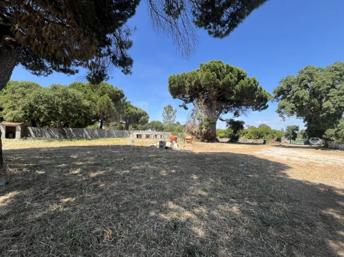 Terreno para Venda em Samora Correia Foto 3