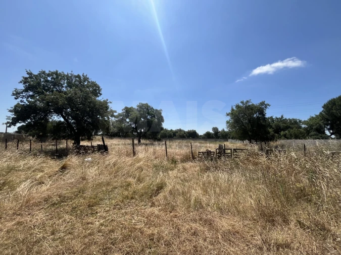 Terreno para Venda em Samora Correia Foto 7