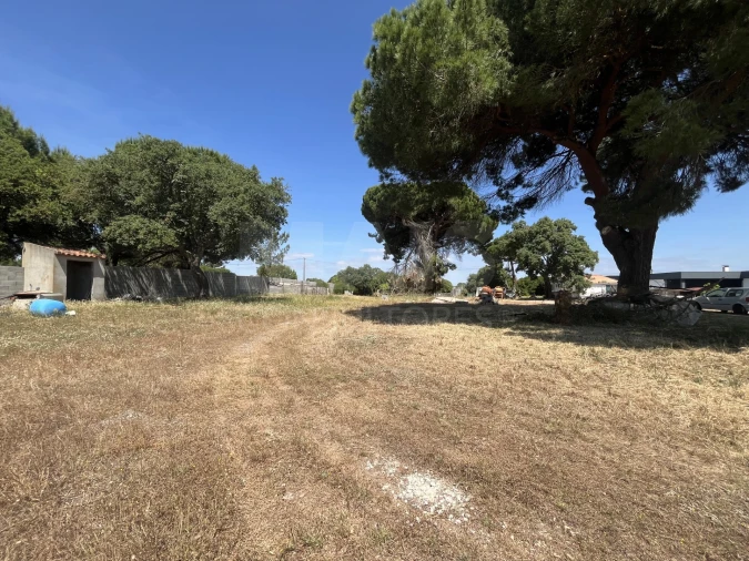 Terreno para Venda em Samora Correia Foto 1