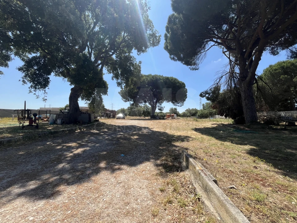 Terreno para Venda em Samora Correia Foto 5