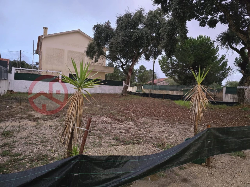 Terreno para Venda em Azeitão (São Lourenço e São Simão) Foto 1