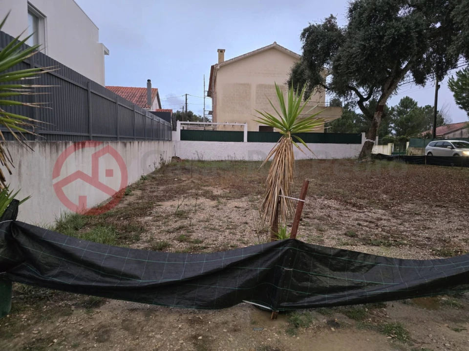Terreno para Venda em Azeitão (São Lourenço e São Simão) Foto 4