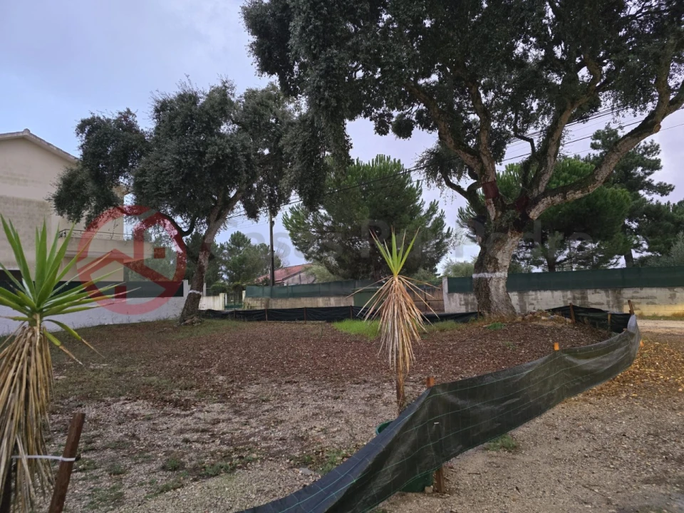 Terreno para Venda em Azeitão (São Lourenço e São Simão) Foto 5