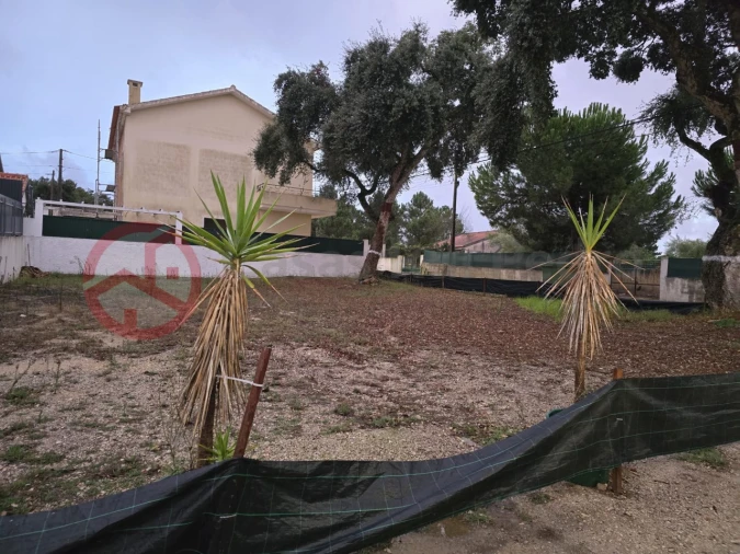 Terreno para Venda em Azeitão (São Lourenço e São Simão) Foto 1