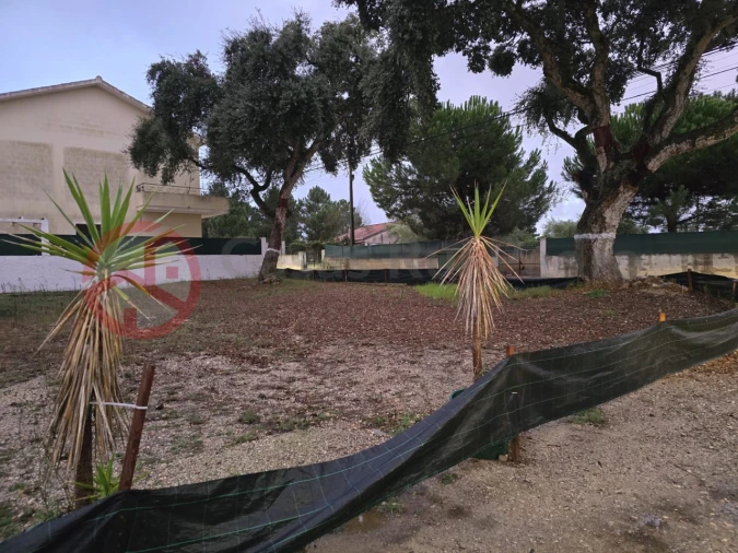Terreno para Venda em Azeitão (São Lourenço e São Simão) Foto 3