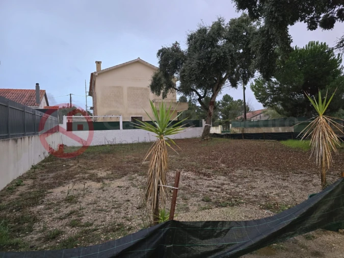 Terreno para Venda em Azeitão (São Lourenço e São Simão) Foto 6