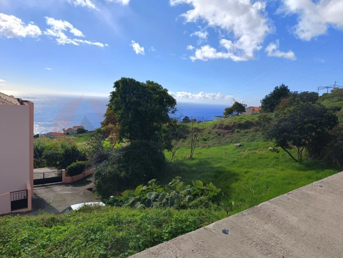 Terreno para Venda em Estreito da Calheta Foto 3