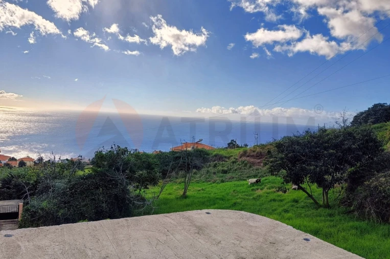 Terreno para Venda em Estreito da Calheta
