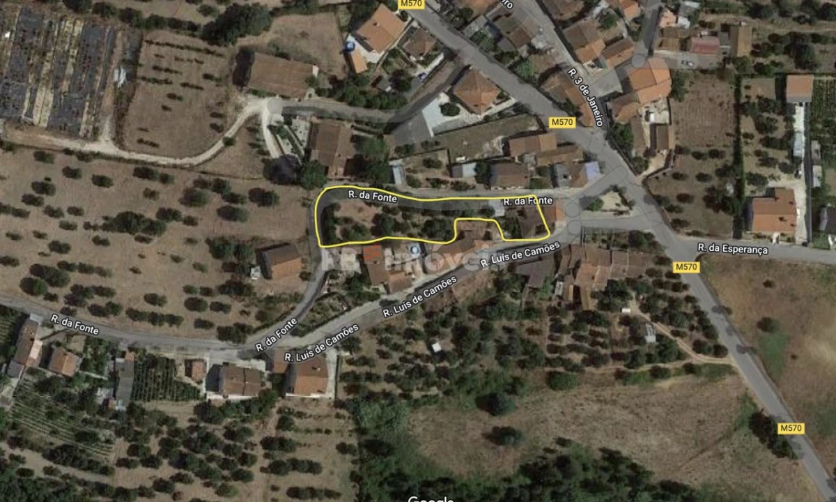 Terreno para Venda em Torres Novas (Santa Maria, Salvador e Santiago) Foto 2