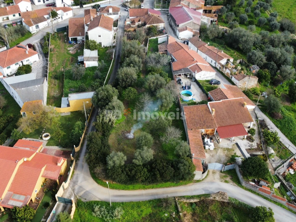 Terreno para Venda em Torres Novas (Santa Maria, Salvador e Santiago) Foto 8