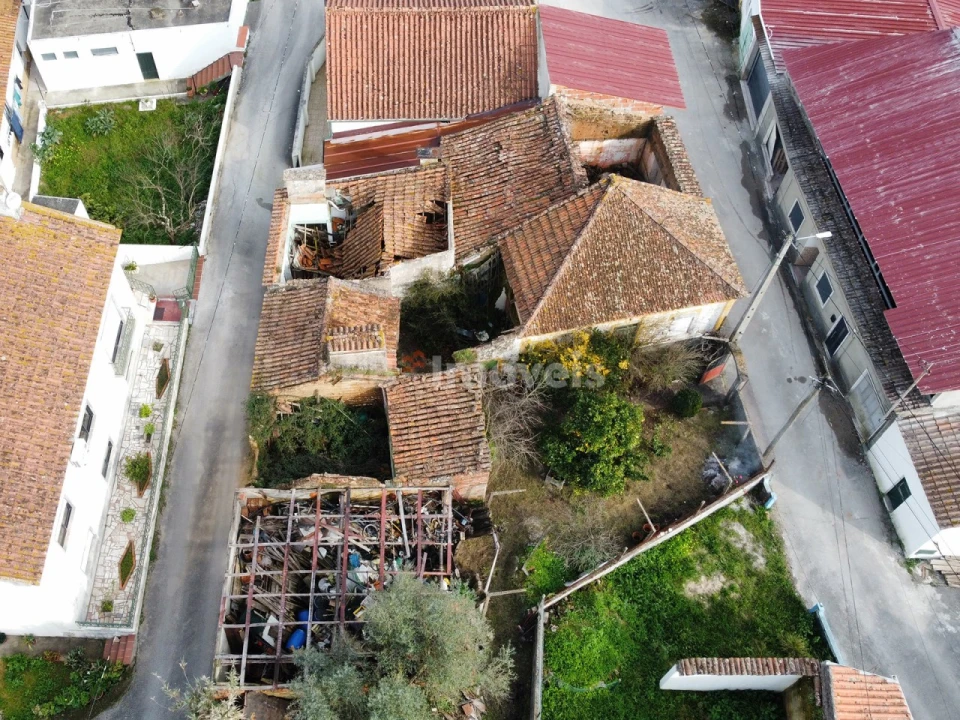 Terreno para Venda em Torres Novas (Santa Maria, Salvador e Santiago) Foto 9