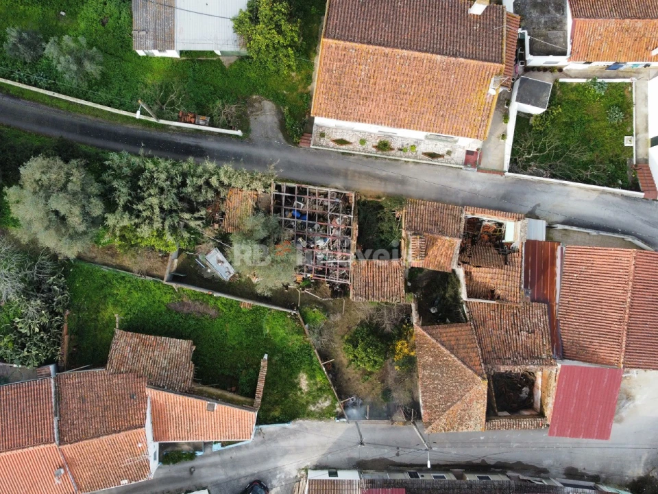 Terreno para Venda em Torres Novas (Santa Maria, Salvador e Santiago) Foto 10