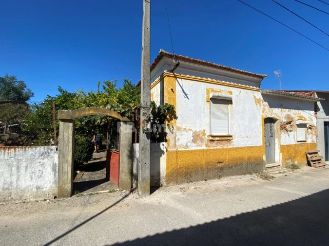 Terreno para Venda em Torres Novas (Santa Maria, Salvador e Santiago) Foto 3