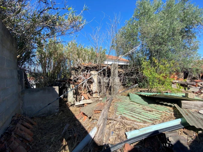 Terreno para Venda em Torres Novas (Santa Maria, Salvador e Santiago) Foto 5