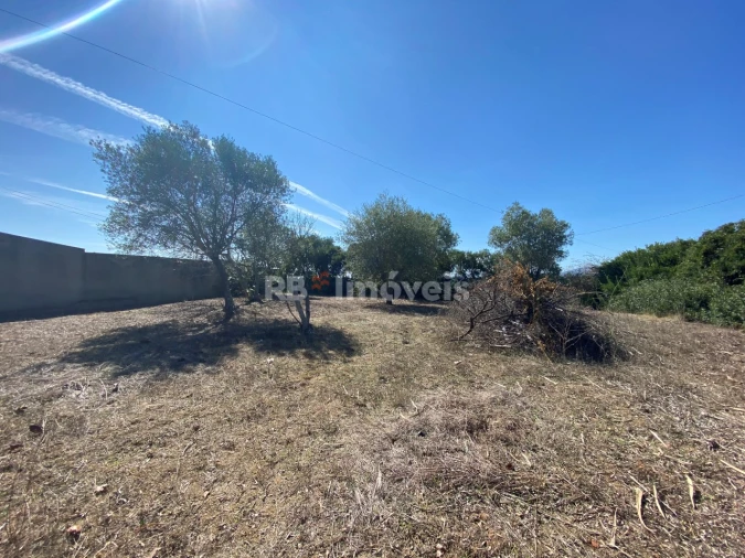 Terreno para Venda em Torres Novas (Santa Maria, Salvador e Santiago) Foto 4