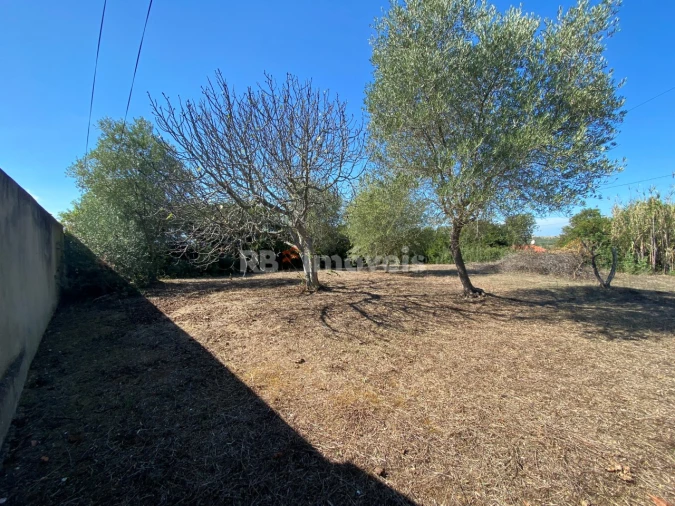 Terreno para Venda em Torres Novas (Santa Maria, Salvador e Santiago) Foto 6