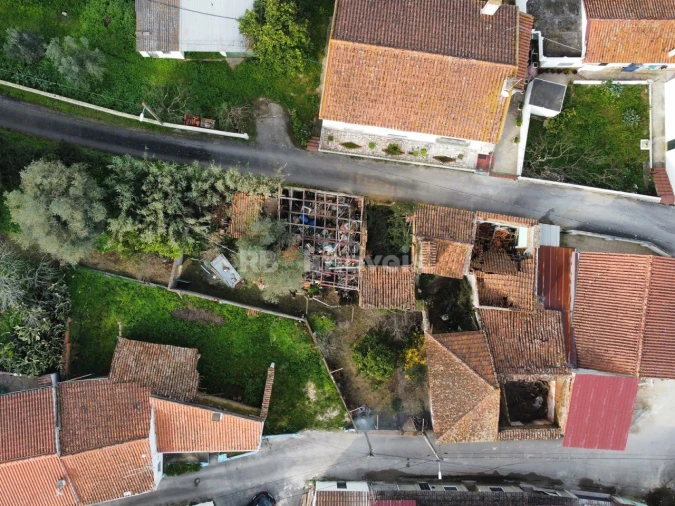 Terreno para Venda em Torres Novas (Santa Maria, Salvador e Santiago) Foto 10