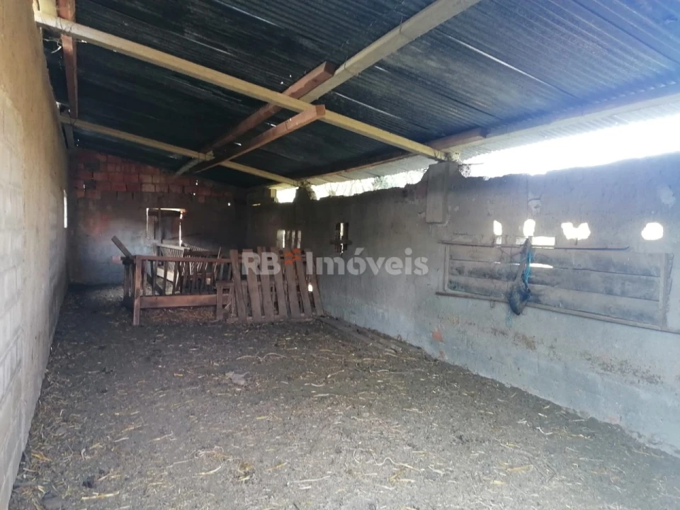 Terreno para Venda em Paialvo Foto 1