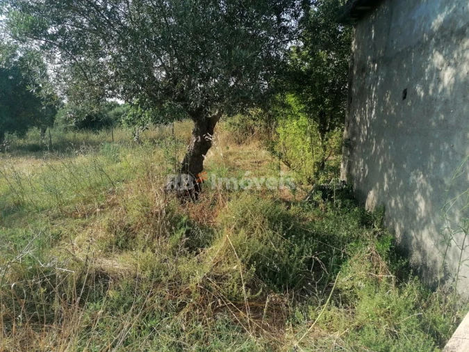 Terreno para Venda em Paialvo Foto 7