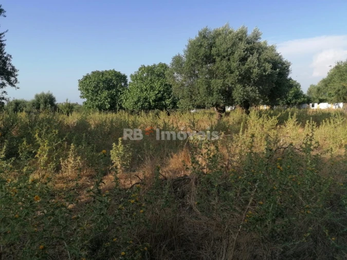 Terreno para Venda em Paialvo Foto 18