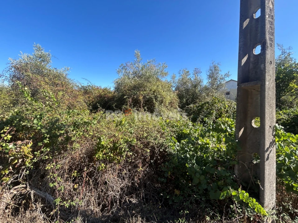 Terreno para Venda em Serra e Junceira Foto 8