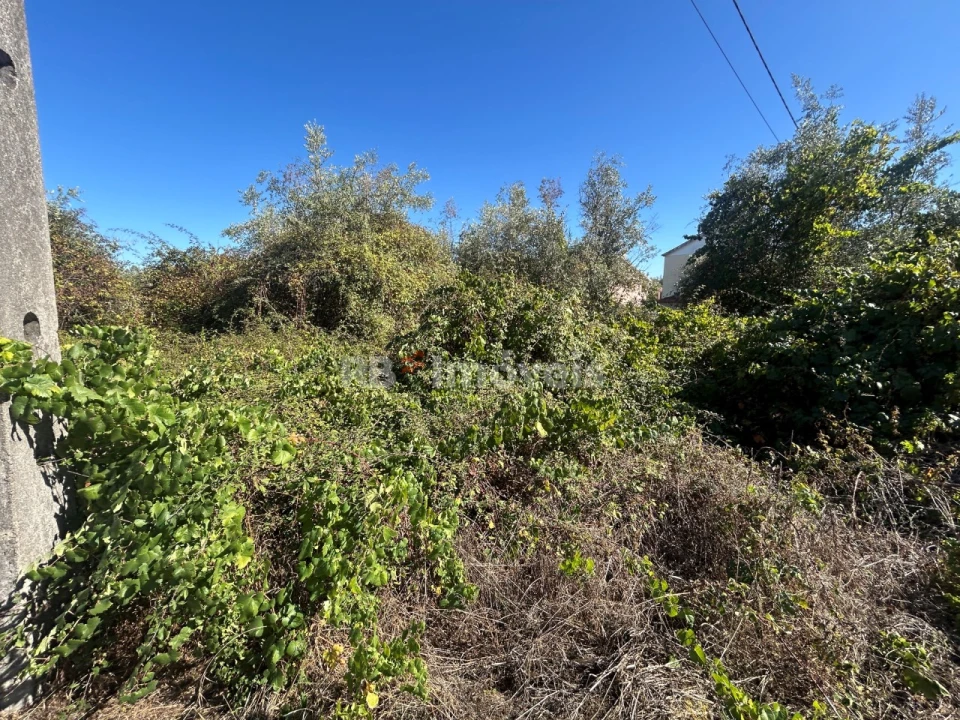 Terreno para Venda em Serra e Junceira Foto 11