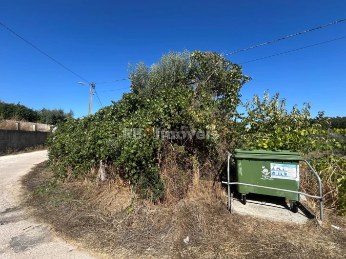 Terreno para Venda em Serra e Junceira Foto 2